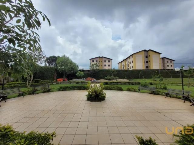 Apartamento aluguel em Região Geográfica Imediata de Curitiba, Região Metropolitana de Curitiba