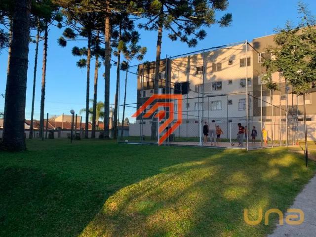 Apartamento aluguel em Região Geográfica Imediata de Curitiba, Região Metropolitana de Curitiba