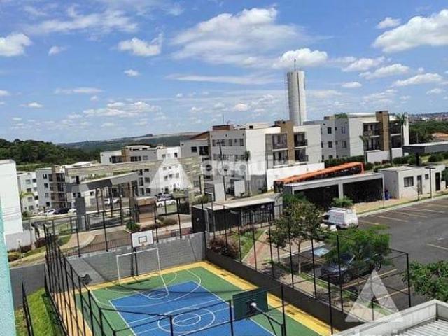 Apartamento venda em Região Geográfica Imediata de Ponta Grossa, Ponta Grossa