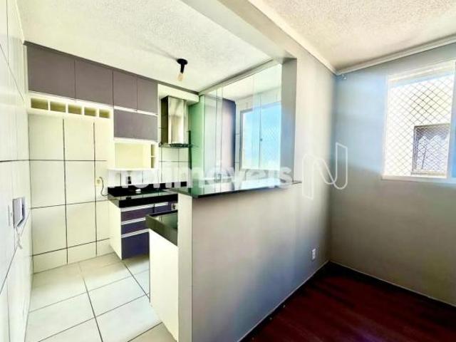 Apartamento venda em Califórnia, Belo Horizonte
