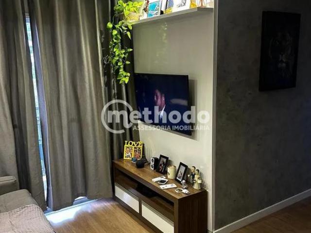 Apartamento venda em Jardim Miriam, Campinas
