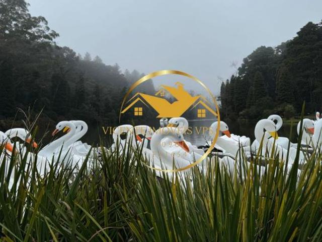 Apartamento venda em Região Geográfica Imediata de Caxias do Sul, Gramado