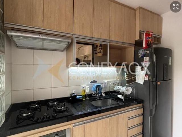 Apartamento venda em Jardim Miriam, Campinas