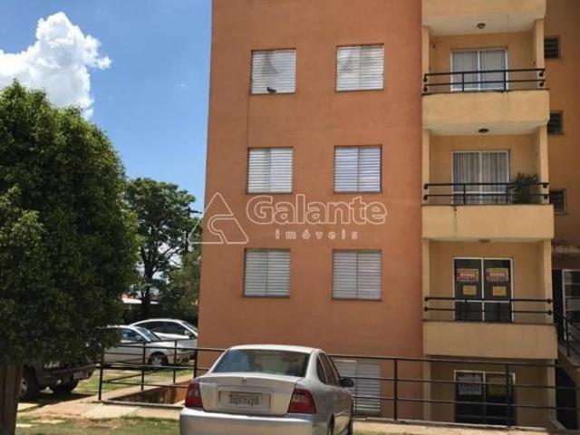 Apartamento venda em Parque Universitário de Viracopos, Campinas