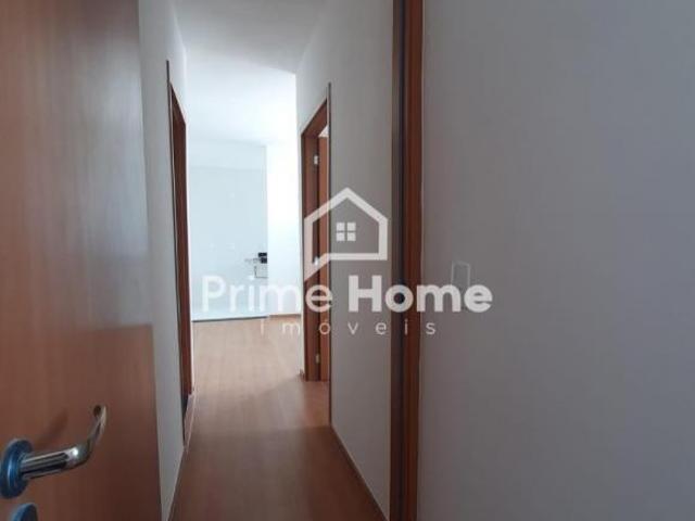 Apartamento venda em Vila José Paulino Nogueira, Paulinia