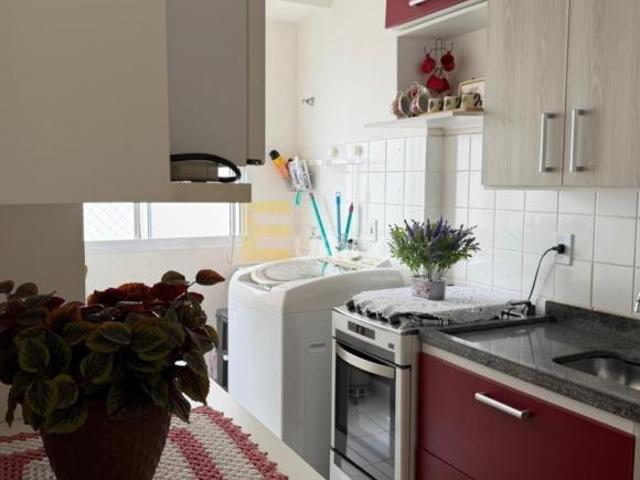 Apartamento venda em Parque dos Cocais, Valinhos