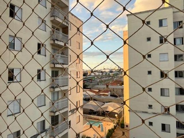 Apartamento aluguel em Região Imediata de Campinas, Região Metropolitana de Campinas