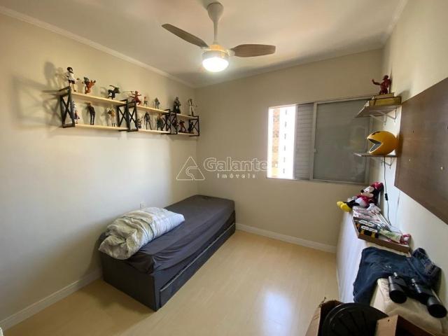 Apartamento aluguel em Região Imediata de Campinas, Região Metropolitana de Campinas
