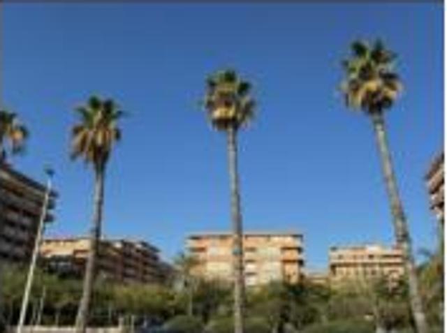 Apartamento en alquiler en Vera, l'Horta Nord