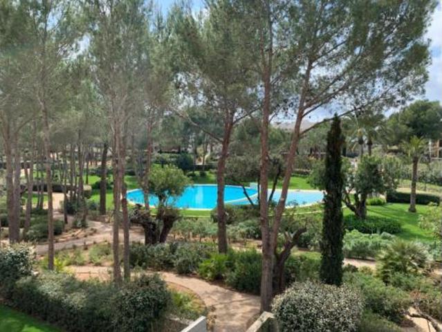 Apartamento en alquiler en Calvià, Serra de Tramuntana