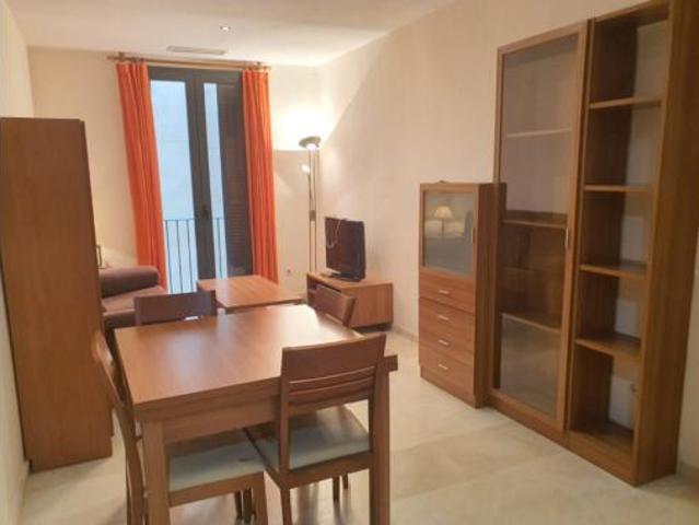 Apartamento en alquiler en Centro, Comarca de la Vega de Granada