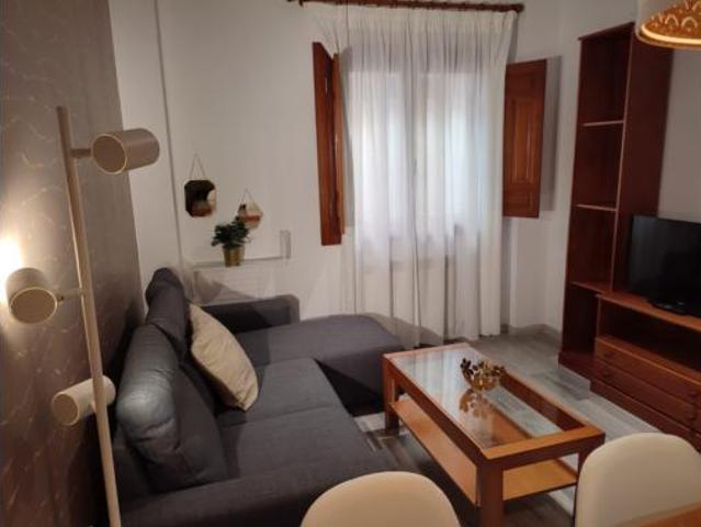 Apartamento en alquiler en Centro, Comarca de la Vega de Granada