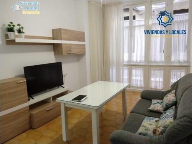 Apartamento en alquiler en Centro, Comarca de la Vega de Granada