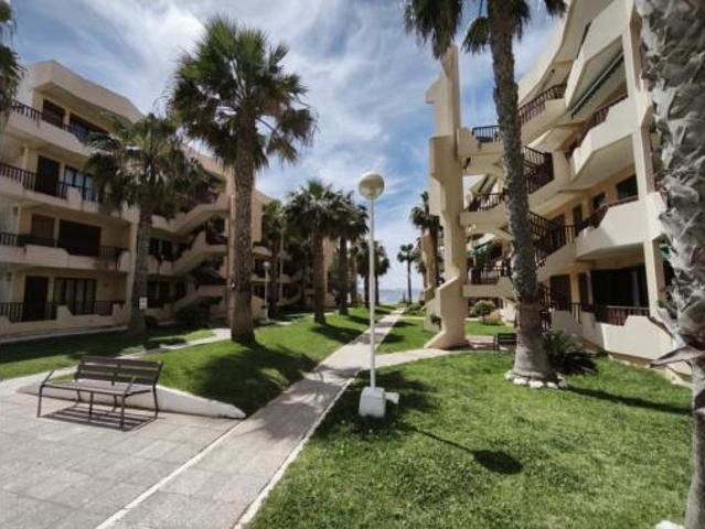 Apartamento en alquiler en Rincón de San Ginés, Campo de Cartagena y Mar Menor