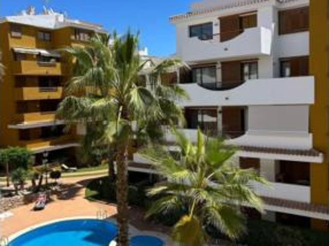 Apartamento en alquiler en Urbanización Punta Prima, el Baix Segura / La Vega Baja