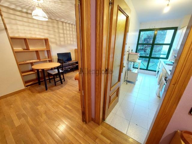 Apartamento en alquiler en Oviedo, Asturias