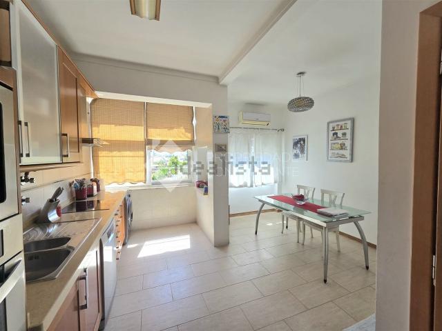 Apartamento venda em Azeitão (São Lourenço e São Simão), Setúbal