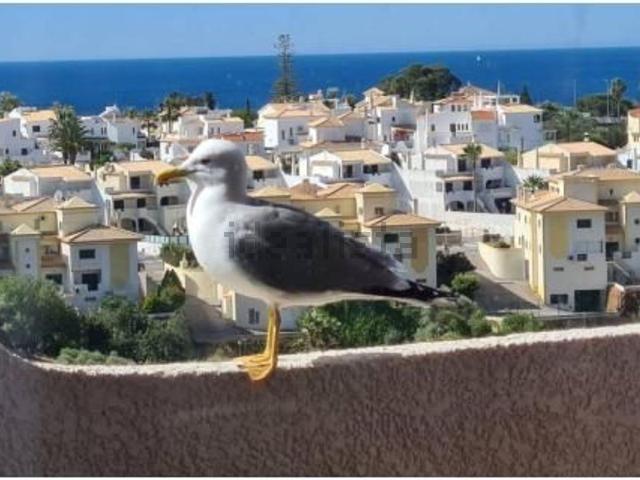 Apartamento venda em Albufeira e Olhos de Água, Albufeira