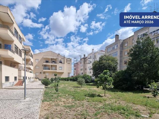 Apartamento venda em Santarém