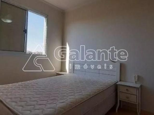 Apartamento aluguel em Região Imediata de Campinas, Região Metropolitana de Campinas