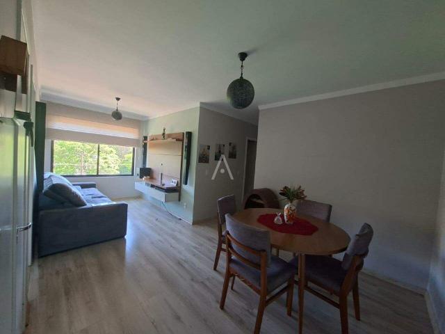 Apartamento aluguel em Região Geográfica Imediata de Cascavel, Cascavel