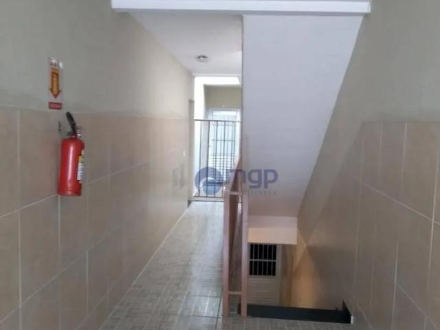 Apartamento aluguel em Vila Isolina Mazzei, São Paulo
