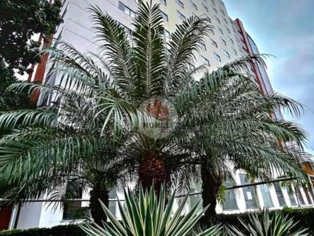 Apartamento aluguel em Kalilândia, Feira de Santana