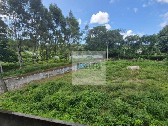 Apartamento aluguel em Região Geográfica Imediata do Recife, Região Metropolitana do Recife