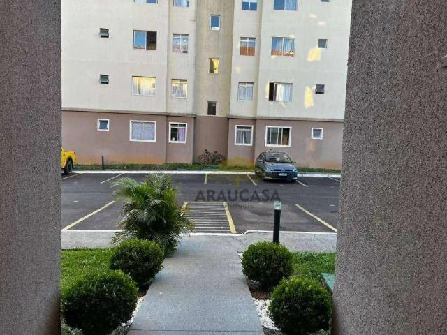 Apartamento aluguel em Região Geográfica Imediata de Curitiba, Região Metropolitana de Curitiba