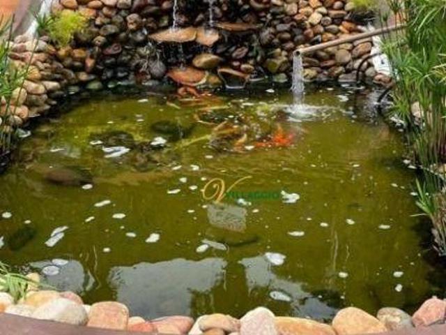 Apartamento venda em Região Imediata de São José do Rio Preto, Região Metropolitana de São José do Rio Preto