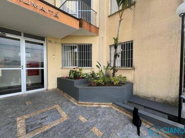 Apartamento venda em São Lucas, São Paulo
