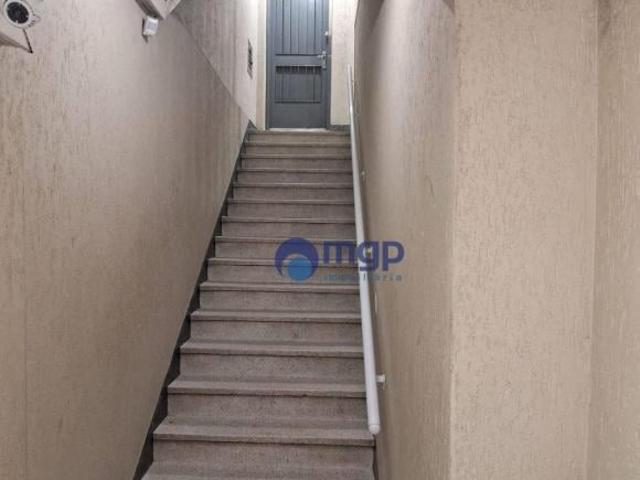 Apartamento venda em Vila Maria, São Paulo
