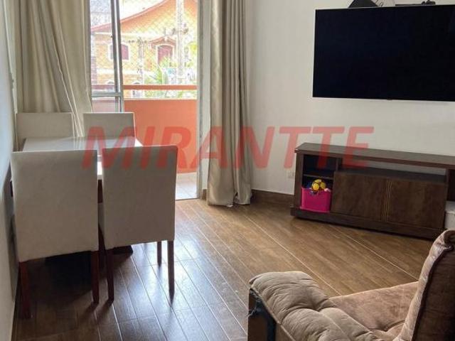 Apartamento venda em Vila Amélia, São Paulo