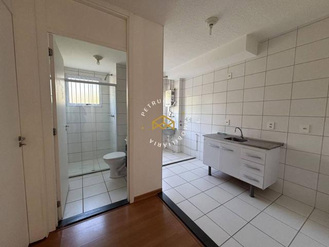 Apartamento aluguel em Região Imediata de Campinas, Região Metropolitana de Campinas