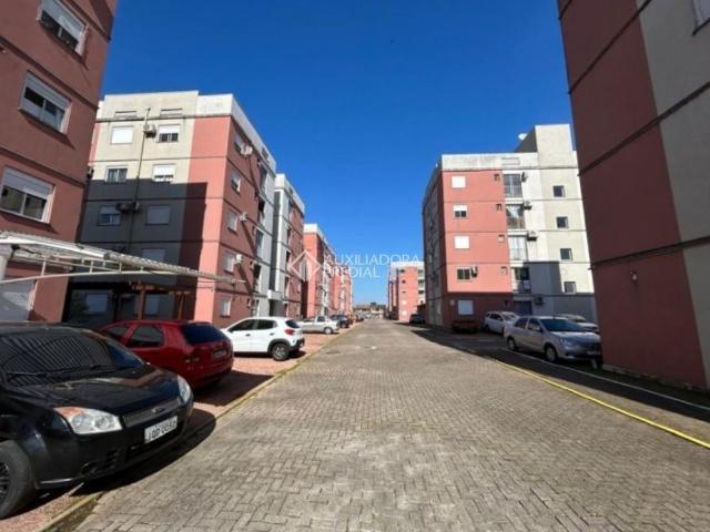 Apartamento aluguel em Região Geográfica Imediata de Porto Alegre, Região Metropolitana de Porto Alegre