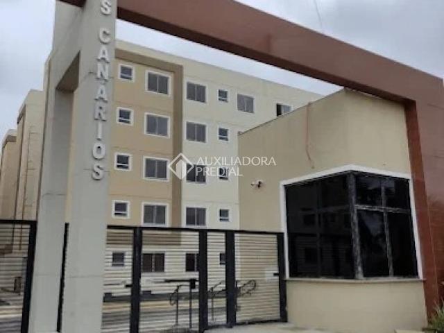 Apartamento aluguel em Rio Grande, Rio Grande