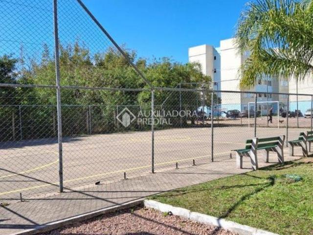 Apartamento venda em Chapéu do Sol, Porto Alegre