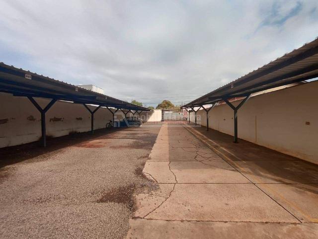 Apartamento aluguel em Região Geográfica Imediata de Dourados, Dourados