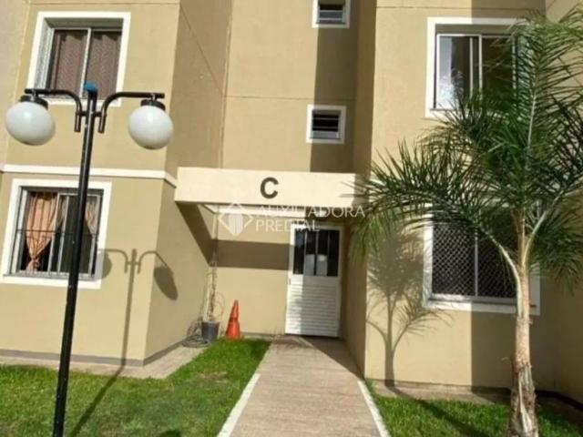 Apartamento aluguel em Cachoeirinha