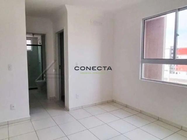 Apartamento aluguel em Jardim Padovani, Londrina
