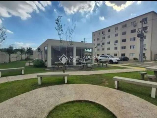 Apartamento aluguel em Cachoeirinha