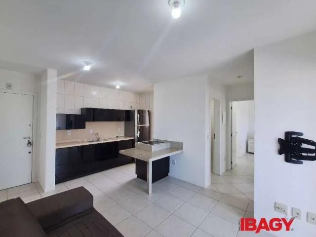 Apartamento aluguel em Roçado, São José