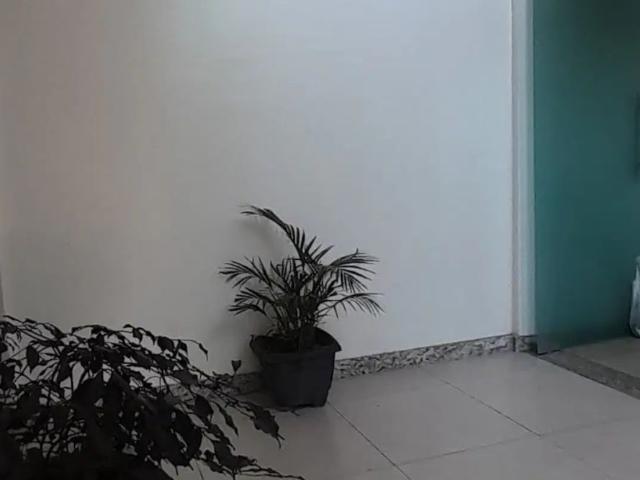 Apartamento aluguel em Capitão Paulo, Santa Luzia