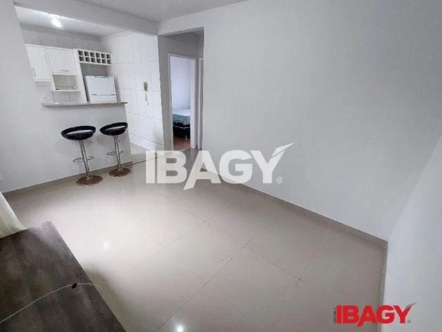 Apartamento aluguel em Roçado, São José