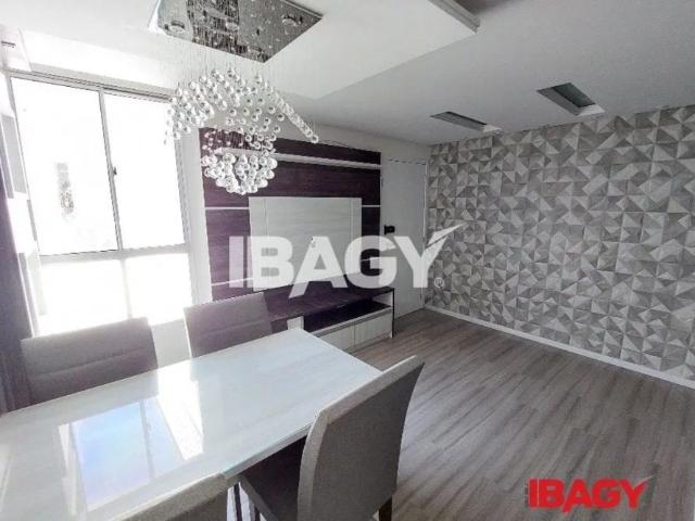 Apartamento aluguel em Roçado, São José