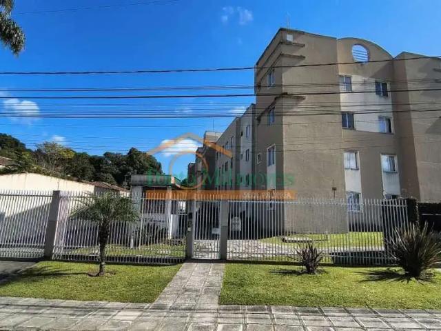 Apartamento aluguel em Região Geográfica Imediata de Curitiba, Região Metropolitana de Curitiba