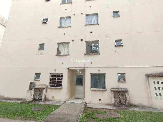 Apartamento aluguel em Guarda do Cubatão, Palhoça