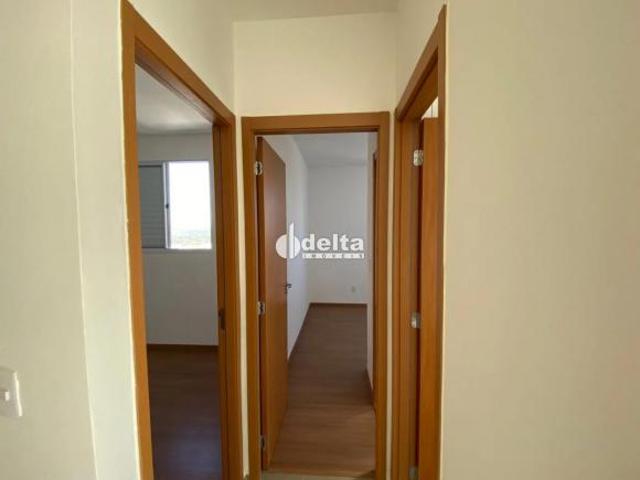 Apartamento venda em Setor Sul, Uberlândia