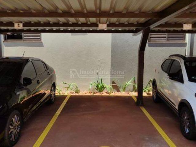 Apartamento aluguel em Região Geográfica Imediata de Dourados, Dourados
