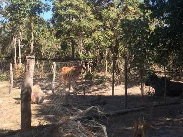 Apartamento venda em Região Geográfica Imediata de Curvelo, Região Sudeste
